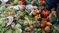 En Argentina cada persona tira en promedio 38 kilos de comida apta para el consumo durante todo el año.