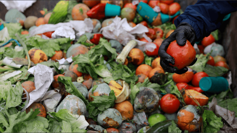 En Argentina cada persona tira en promedio 38 kilos de comida apta para el consumo durante todo el año.
