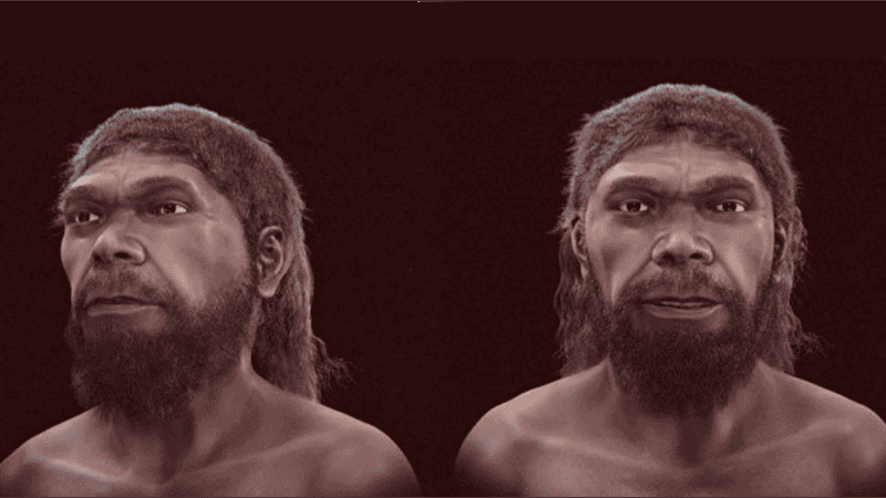 Piel oscura, barba tupida y ojos hundidos: así se ve el rostro del humano más antiguo.