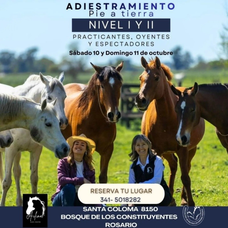 El anuncio oficial del gran evento que se viene en Rosario&nbsp;
