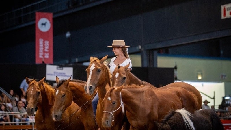 Ailin Wegrzyn, especialista en adiestramiento en libertad y vinculación con caballos&nbsp;