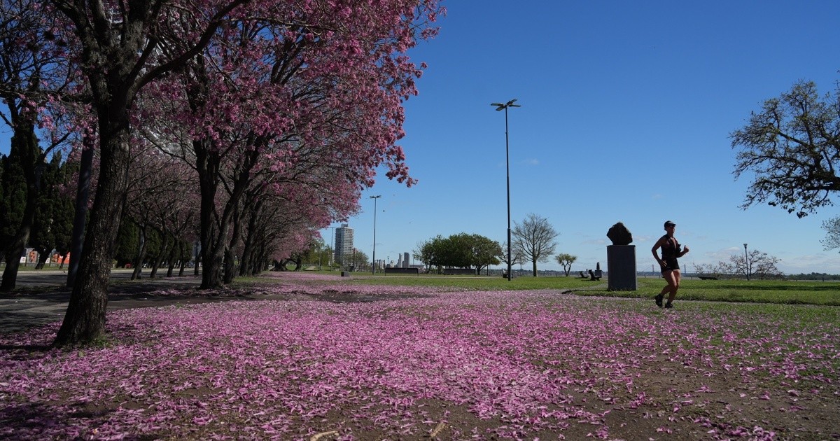 Rosario tendrá un domingo con máxima de 22 grados: nuevos anuncios de lluvias para mitad de semana