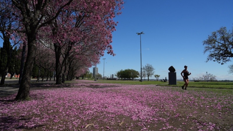 El domingo tendrá 22 grados de máxima (Alan Monzón/Rosario3).