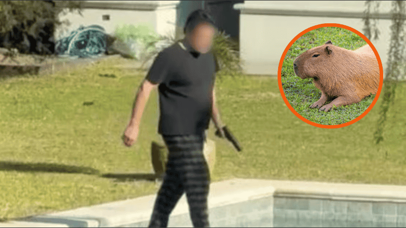 Los investigadores también analizan posibles cargos por amenazas y tenencia ilegal de armas.