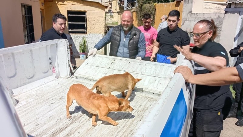 La intervención fue en la zona de José María Rosa al 800. (Secretaría de Control)