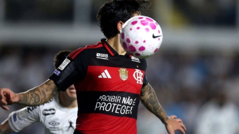 Además de Flamengo, otros clubes protestaron contra el gobierno de Brasil por la prohibición que ya comenzó a regir.