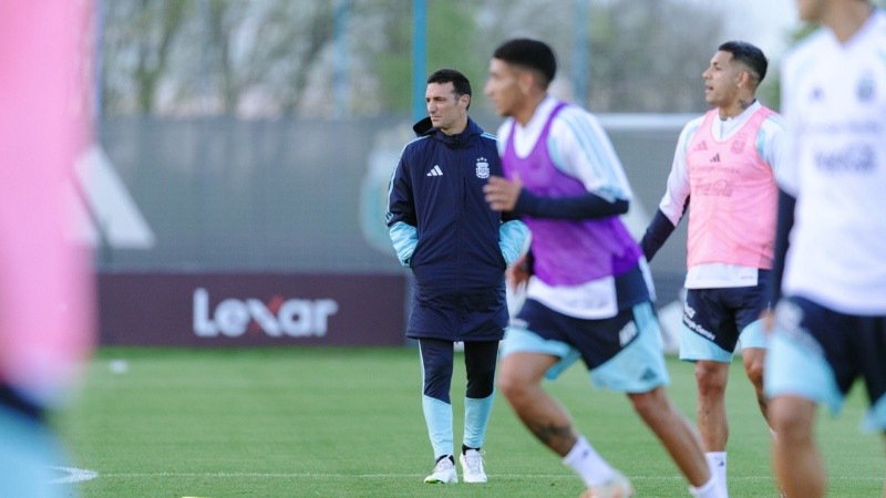 Ya sin Messi, se vienen nuevos desafíos para Scaloni en la selección (AFA)