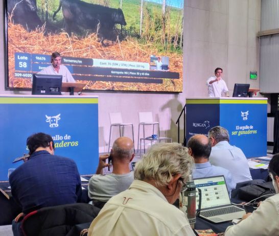 El Rosgan rematará por primera vez en un edifico de la UNR.