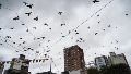 Una semana sin ver el sol en Rosario (Alan Monzón/Rosario3).