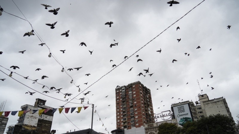 Una semana sin ver el sol en Rosario (Alan Monzón/Rosario3).