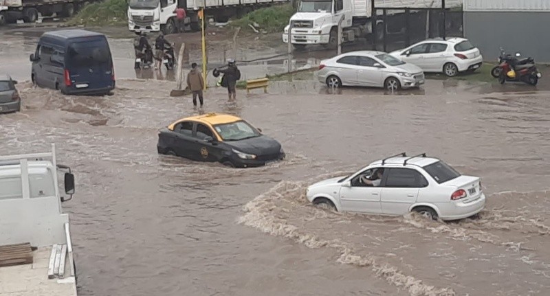 Avenida de Las Palmeras, frente al parque industrial de Pérez&nbsp;