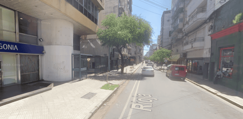 El aromito estaba en buen estado y el municipio no autorizó su poda. (Captura noviembre 2025)