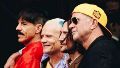 Los Red Hot Chili Peppers se presentarán por primera vez en Rosario.