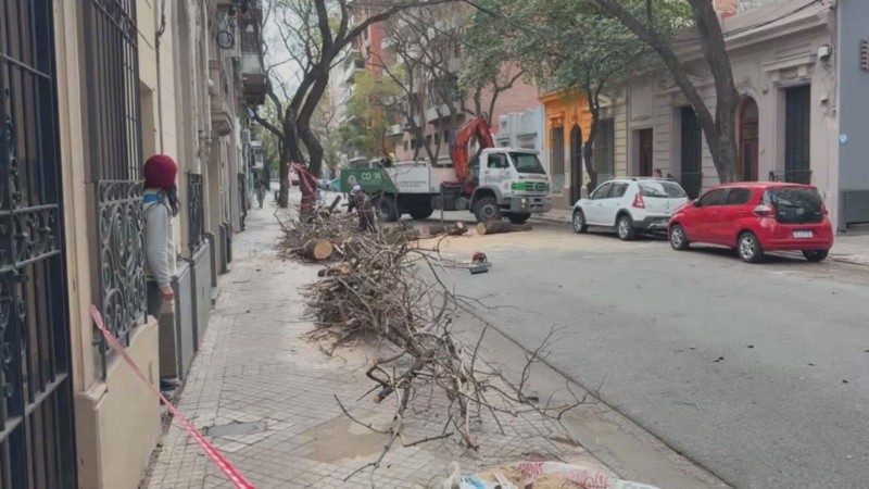 Lo operarios tuvieron que cortar el árbol en pedazos para retirarlo de a poco de la calzada.