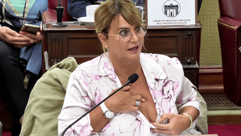 La diputada Granata en la sesión de la Cámara de Diputados