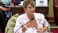 La diputada Granata en la sesión de la Cámara de Diputados (captura video).