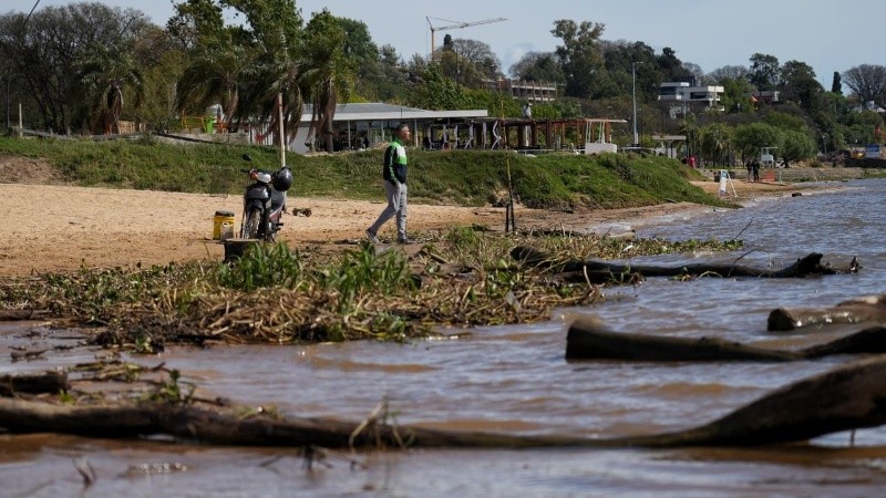 El río crece, pero no hay previsión hasta ahora de que pueda llegar a niveles de evacuación (Alan Monzón)