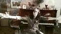 Fito Páez, en la casa de calle Balcarce, donde nacieron sus primeros sueños musicales y comenzó a escribir su historia