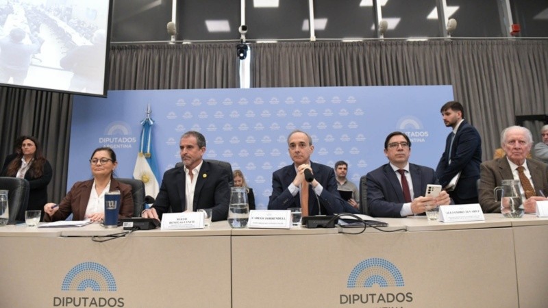 Torrendell y Álvarez en las comisiones de Diputados.