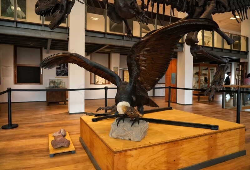 &nbsp;La entrada al Museo Gallardo es libre y gratuita (Alan Monzón).