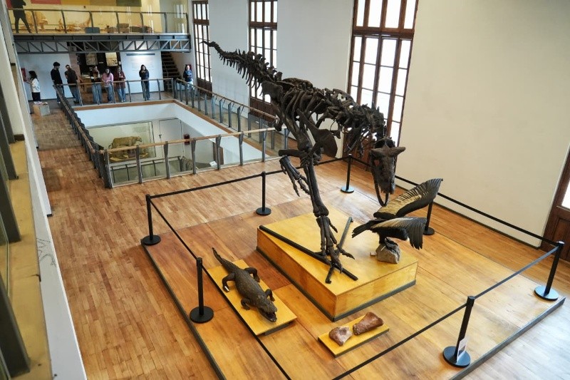 &nbsp;Las renovadas instalaciones del Museo Gallardo y la réplica de dinosaurio en tamaño real que se incorporó.
