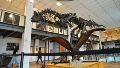 La réplica que dinosaurio en tamaño real que se podrá ver en el Museo Gallardo (Alan Monzón).