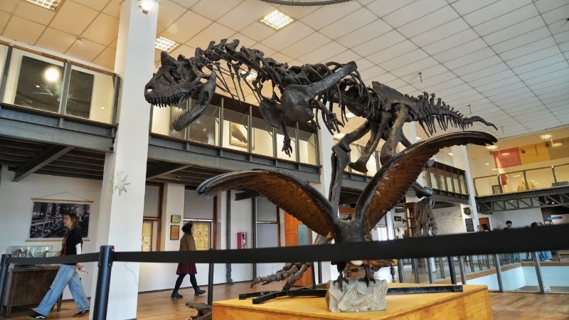 La réplica que dinosaurio en tamaño real que se podrá ver en el Museo Gallardo (Alan Monzón).