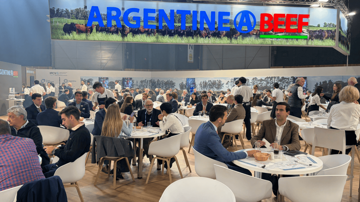 La carne argentina seduce a Europa: precios y oportunidades que se abren para la cadena