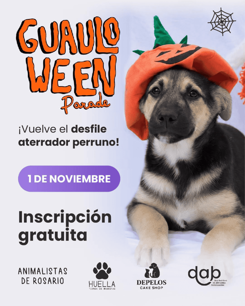 &nbsp;El evento será el 1 de noviembre. 