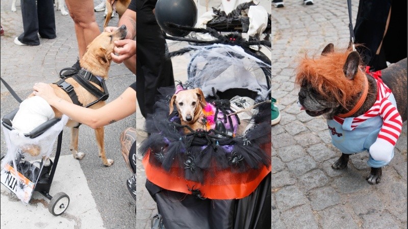 La primera edición reunió a más de 300 personas junto a sus mascotas, una gran convocatoria que impulsó la organización de este segundo encuentro.