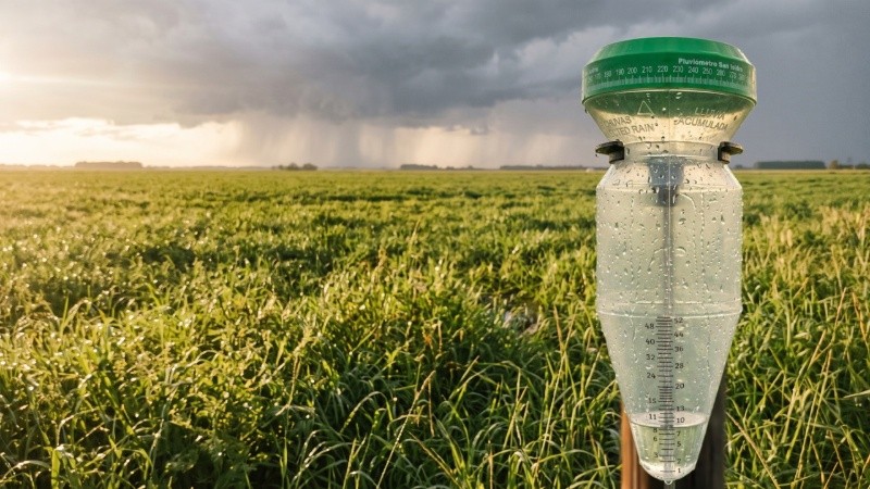 El pluviómetro, un elemento clave para el campo