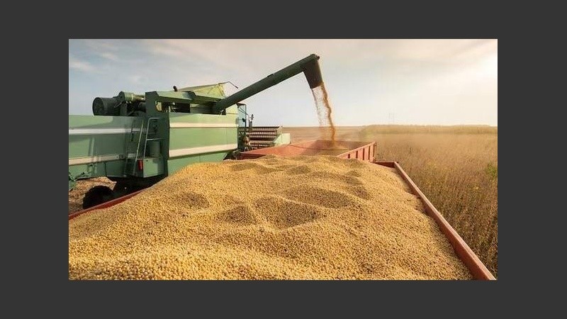 La soja Visec tiene una cotización superior a que no tiene certificación ambiental
