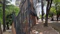 “Después, vinieron a escondidas a podar el árbol”, dijo la mamá. (Foto: TN)