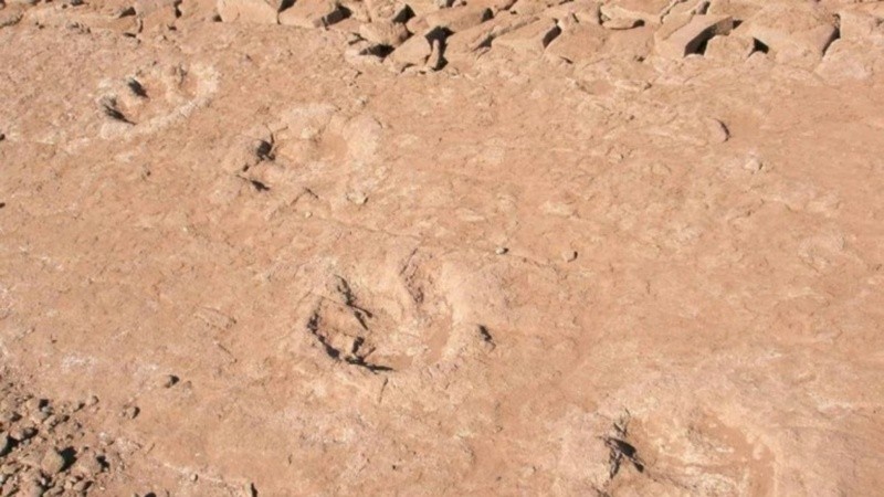 La zona de El Chocón fue escenario de numerosos hallazgos de restos fósiles.