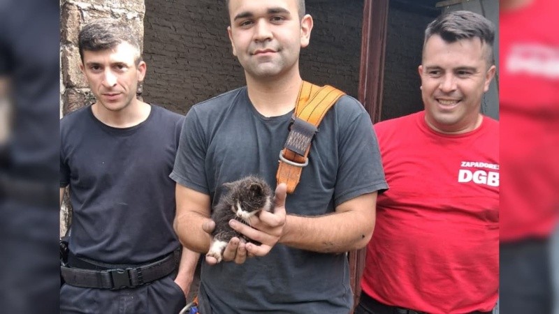 Los Bomberos con el pequeño felino rescatado.