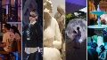 Algunas de las actividades que integran la nueva edición de la Noche de Museos Abiertos.