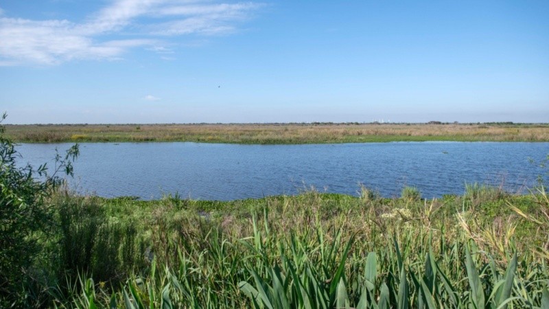 Las tierras, ubicadas en el Delta del Paraná se sumarán a los sectores que ya se encuentran bajo administración municipal.