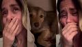 La actriz se emocionó al ver a su mascota dolorida