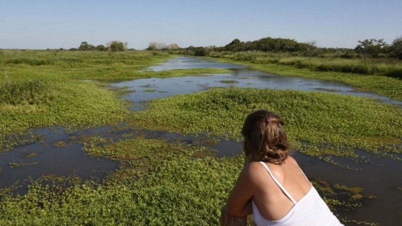 La reserva municipal de Los Tres Cerros en las islas podría sumar parte de las 800 hectáreas recuperadas.