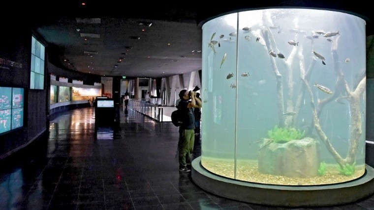 &nbsp;Archivo Rosario3.