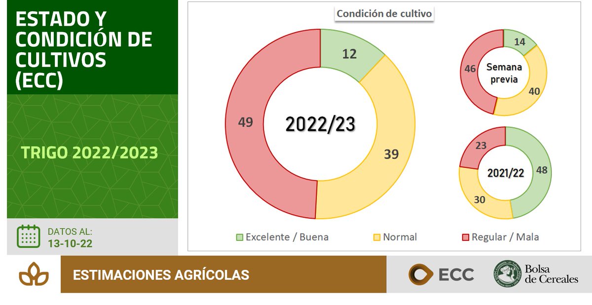 Por la sequía, pronostican que la cosecha de trigo no superará los 17 ...