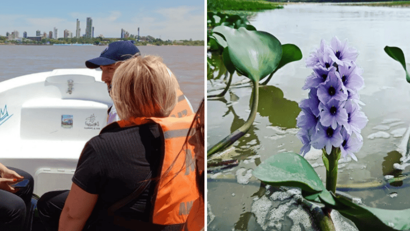 Los paseos en lancha ofrecen conocer el humedal.