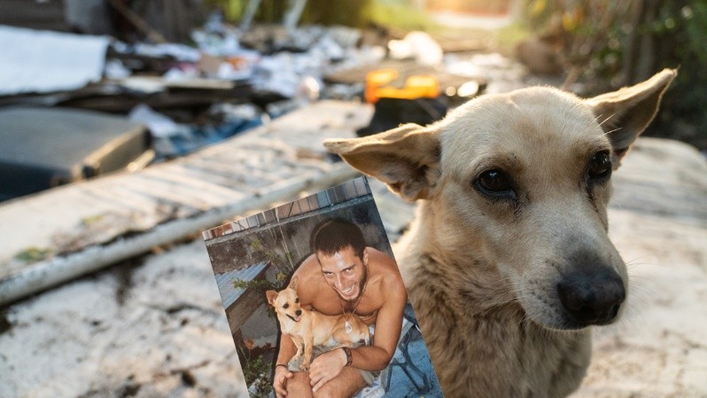 Saqueo vivienda damian reifenstuel