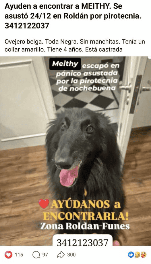 &nbsp;La búsqueda que se inició rápidamente por redes. 