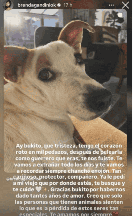 &nbsp;El mensaje de despedida de la actriz en Instagram.