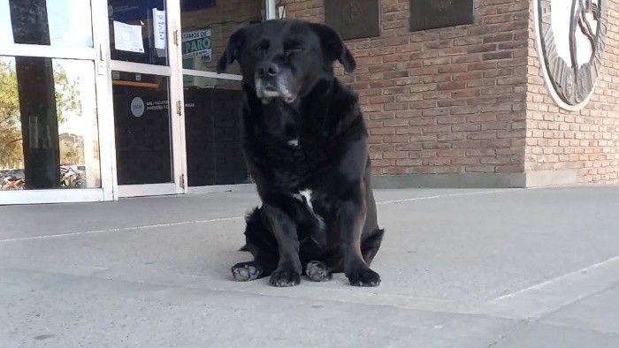 La muerte violenta de Garrafa generó una ola de indignación.