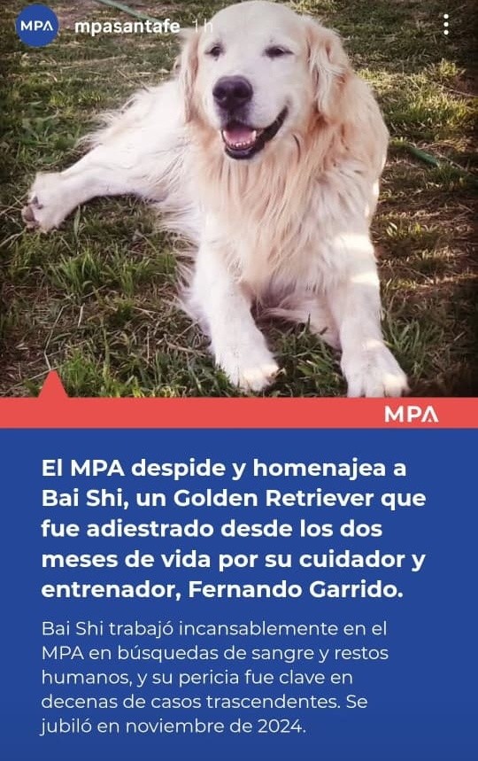 &nbsp;El comunicado de la cuenta del MPA dedicado a Bai Shi.