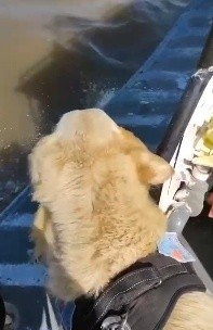 Bai Shi durante la búsqueda de Bocacha.&nbsp;