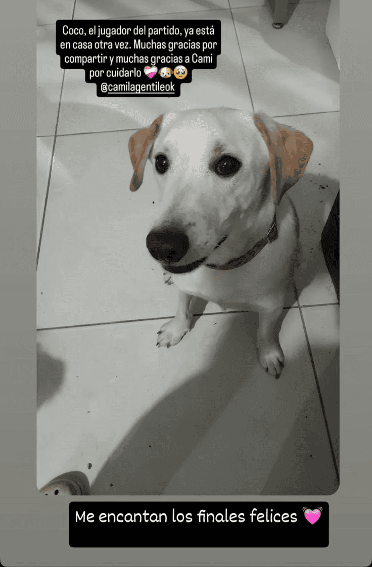 &nbsp;El posteo de la mujer que lo rescató. 