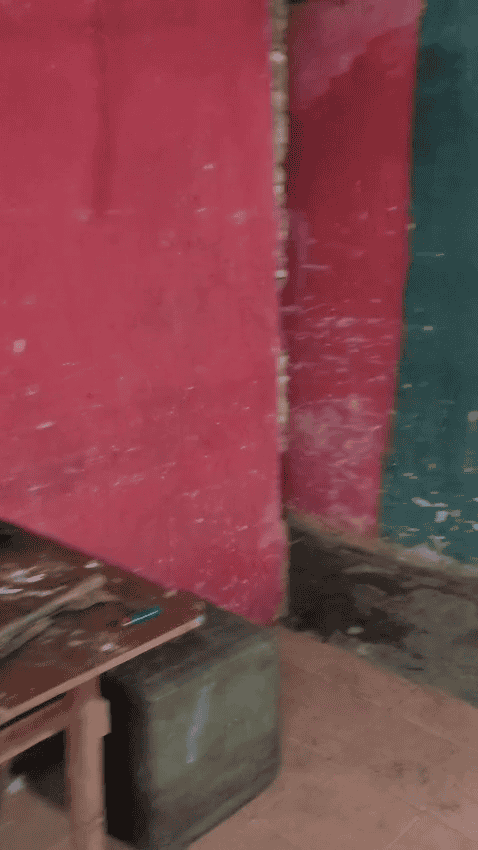 Los colores en el interior de la vivienda.